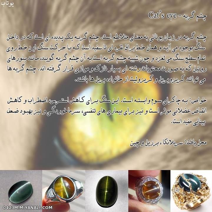 چشم گربه...