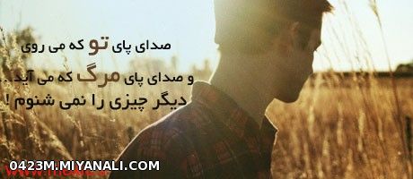 صدای...