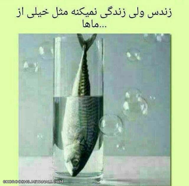 توجه توجه