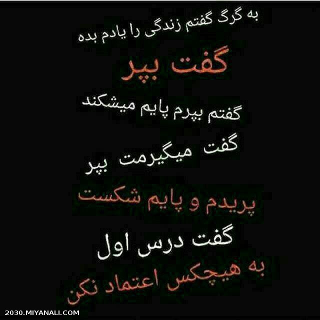 به گرگ گفتم   . . .