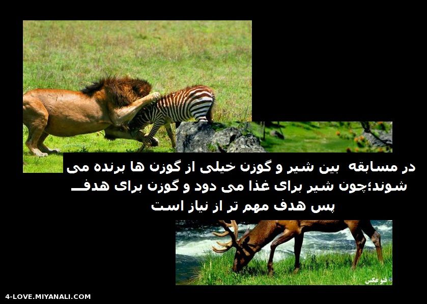 زندگی با هدف معنی پیدا می کنه ...