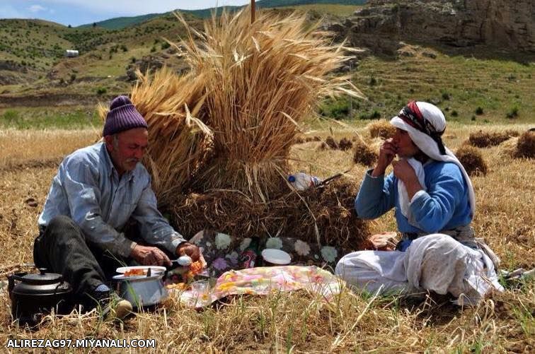 زندگی بی غم و اندوه روستایی