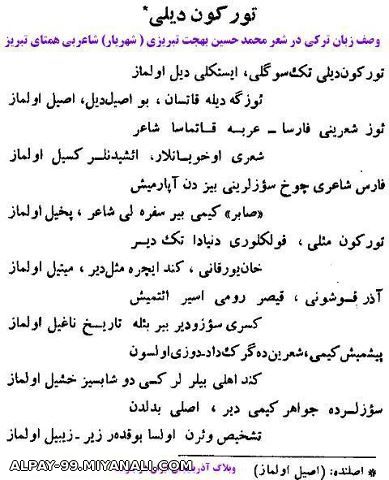 تورکین دیلی