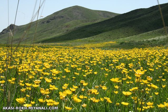 سلام بروی ماهتان