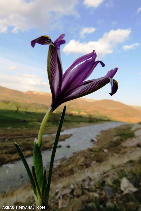 تقدیم به تمام دوستان