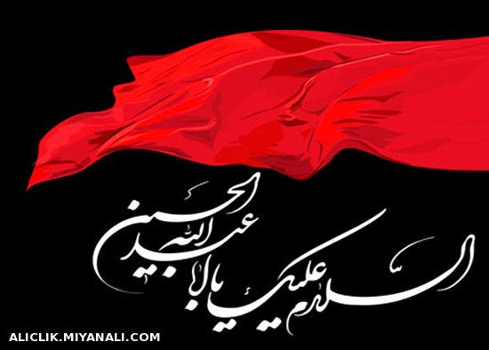 السلام علیک یا ابا عبدالله الحسین(توضیحات)