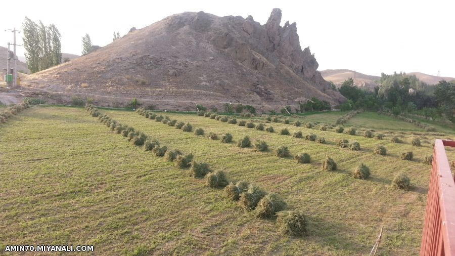 منظره ای از باغمون