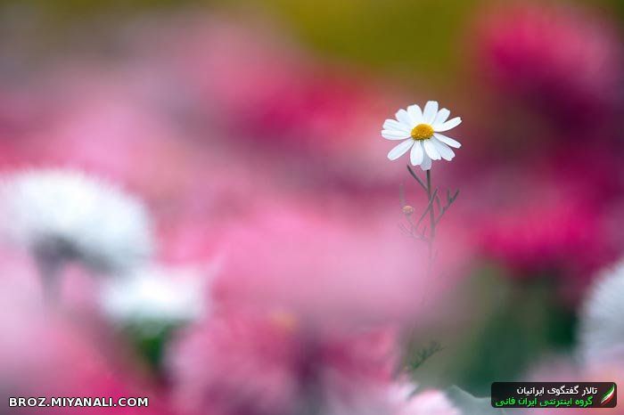 تقدیم به دوستانی که روزه هستن.خدا قوت