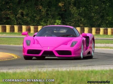 pink ferrari enzo