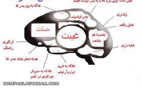 قسمتهایی از مغز ...