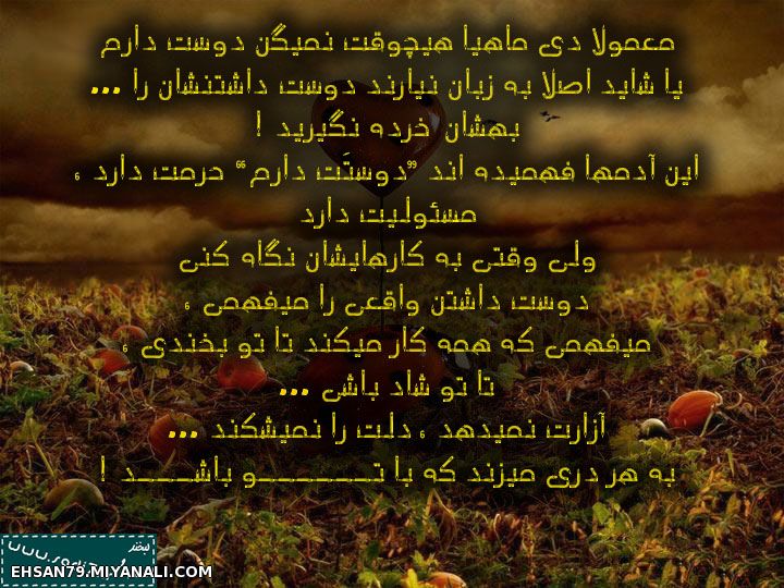 فقط دی