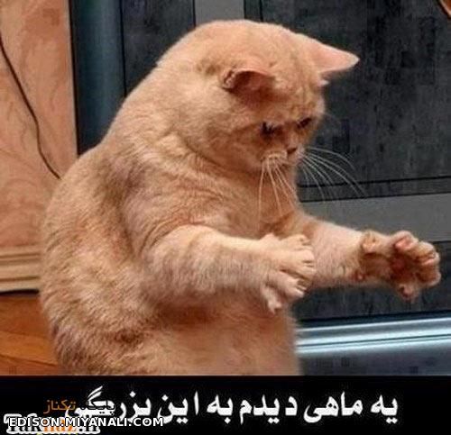 به این بزرگی!!!!