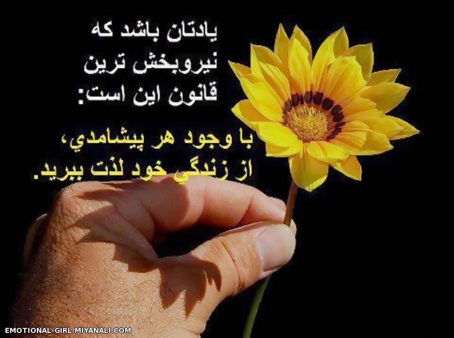 از زندگی خود لذت ببرید ..........