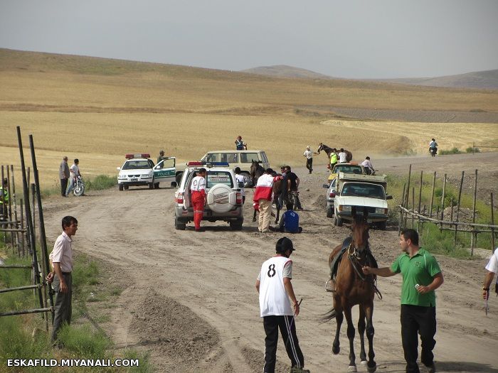 کورس اسب سواری