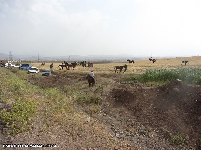 کورس اسب سواری