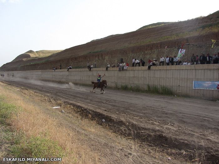 کورس اسب سواری