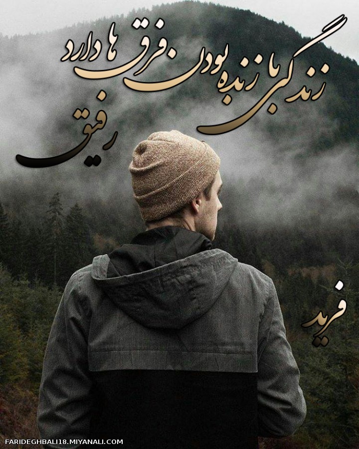 رفیق