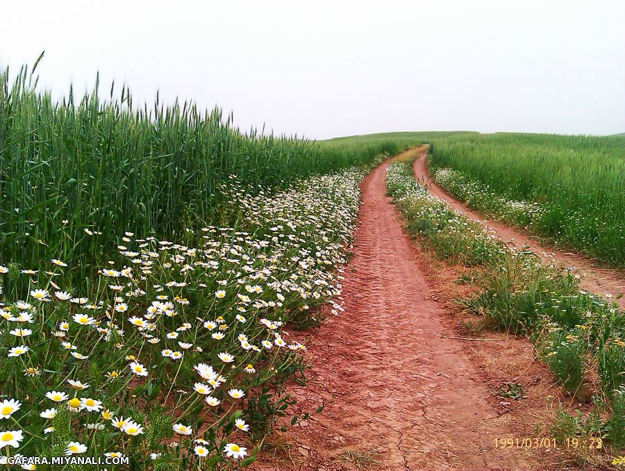 روستای شور تازه کند