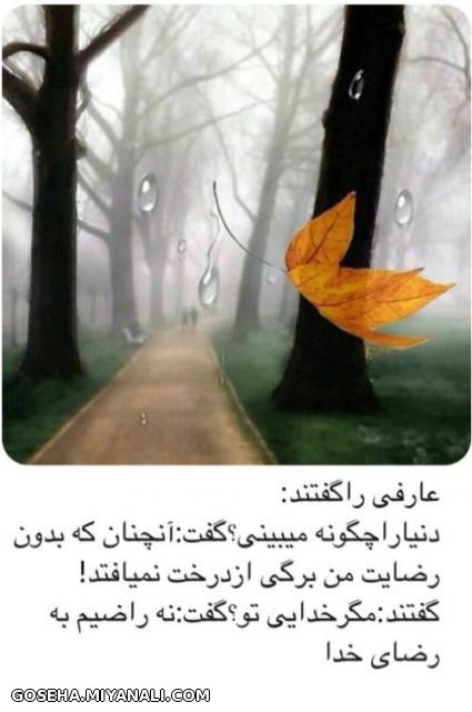 راضینم به رضای خدا