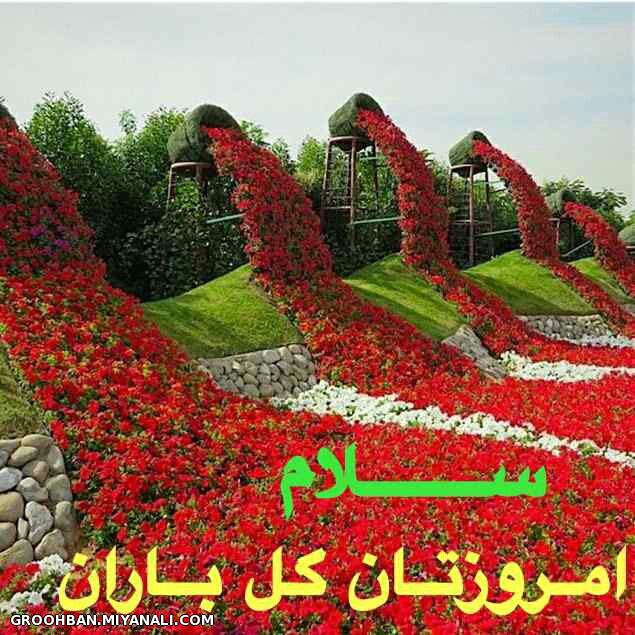 صبح دوستان بخیر و شادی