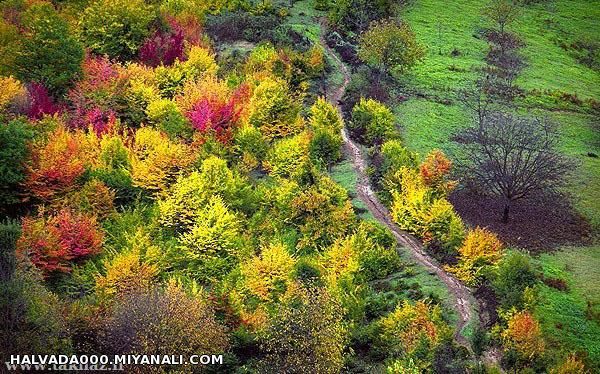 دریاجه چورت مازندران بهشتی دیگربرروی زمین