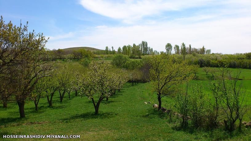 طبیعت روستای ورنکش