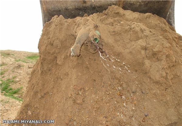 قمقمه شهید صداقتی