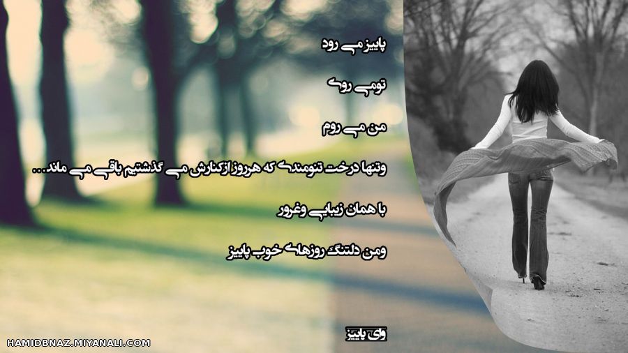 پاییز می رود . . . . .