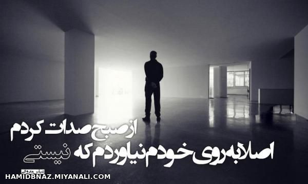 صدایی که هرگز به گوشت نرسید..............