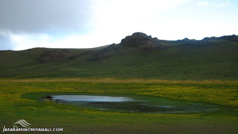 بهشت از دیار میانه بزقوش من چرا قدرشناسی در این دیار نیست