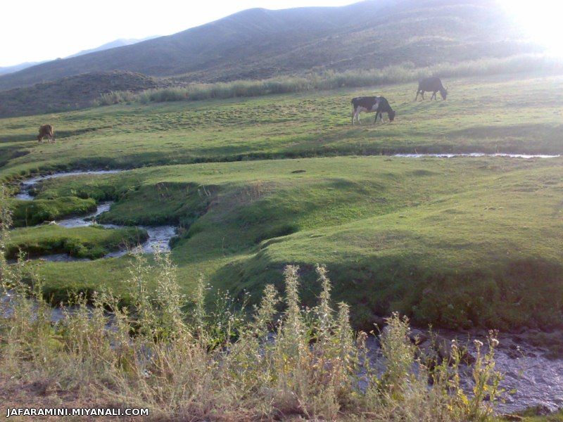 بهشت از دیار میانه بزقوش من چرا قدرشناسی در این دیار نیست