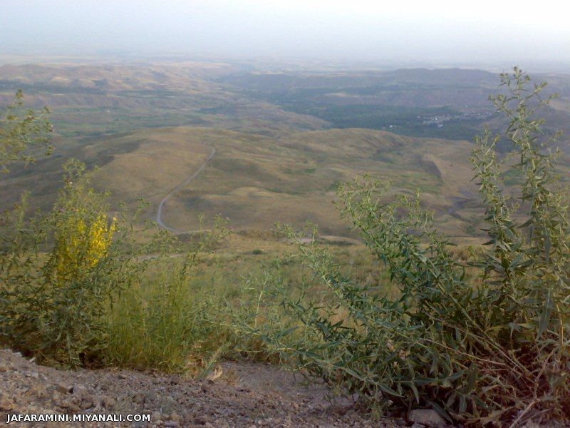 بهشت از دیار میانه بزقوش من چرا قدرشناسی در این دیار نیست