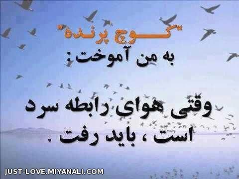 کـــ ــوچ پرنـــ ــــده . . .