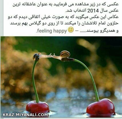 این عکس.