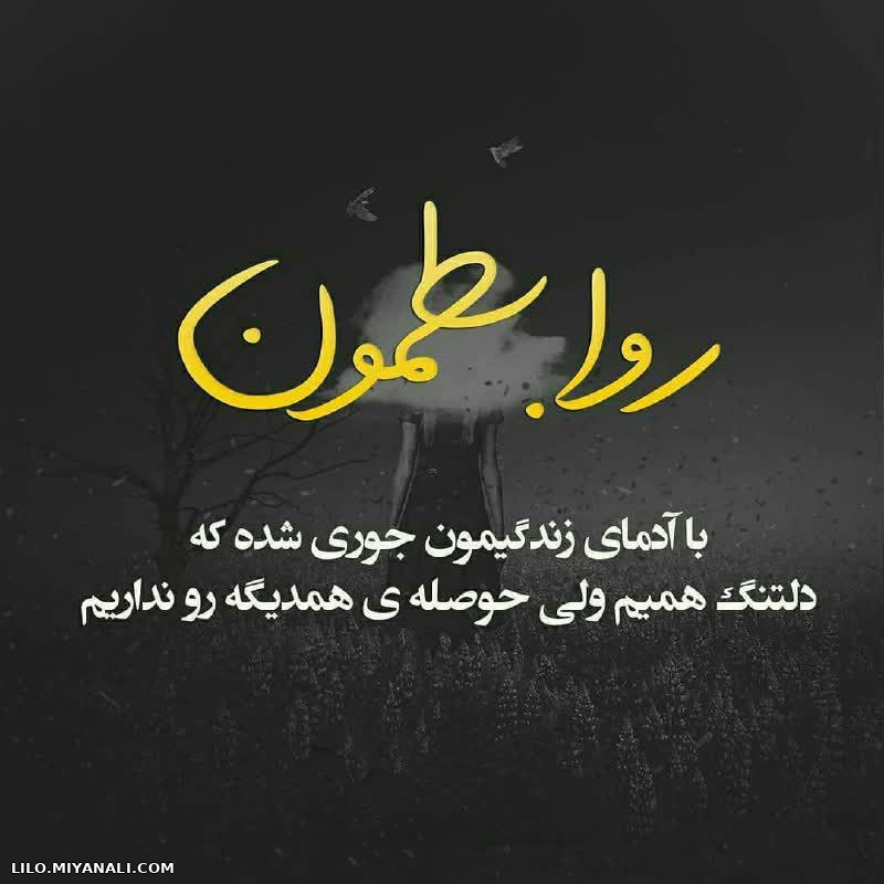 پروفایل