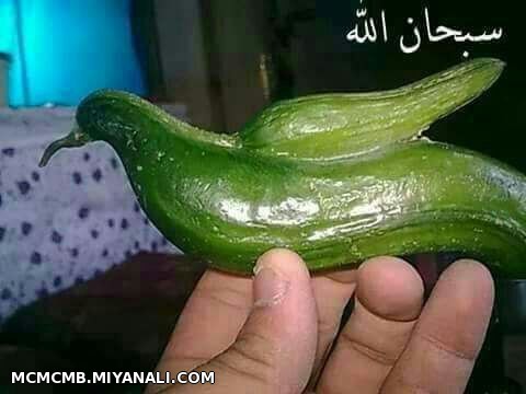 سبحان الله