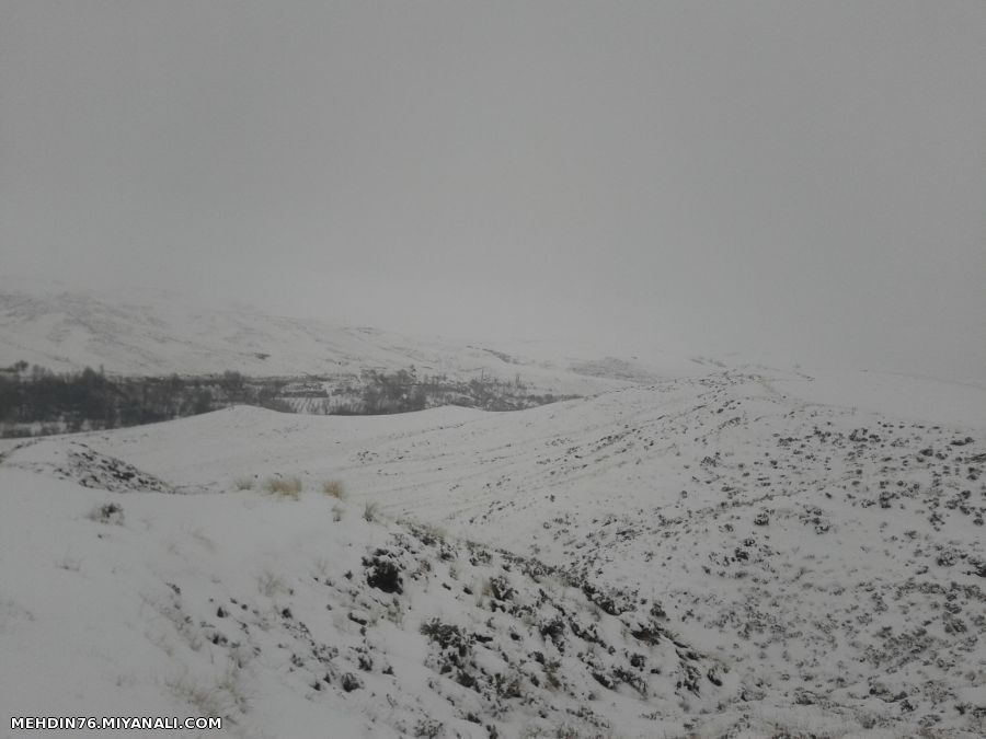 ورزقان چایی