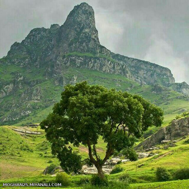 علم روانشناسی می گوید...