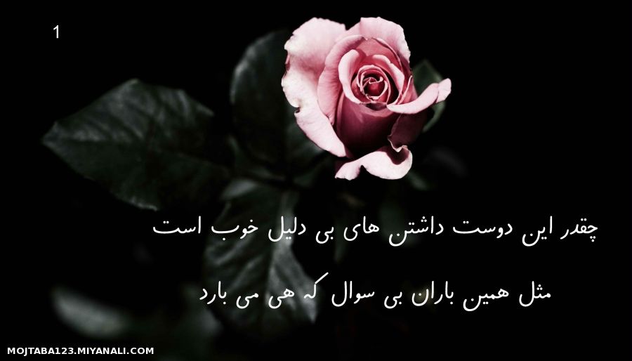 چه قدر...(شماره 1)