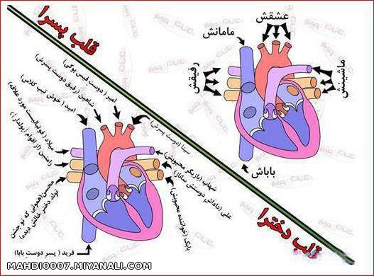 فرق قلب...