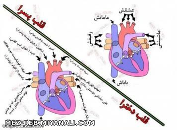 واقیت  زندگی