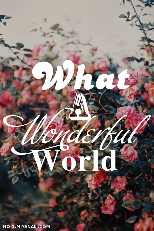 WoNdErFuL WoRlD !