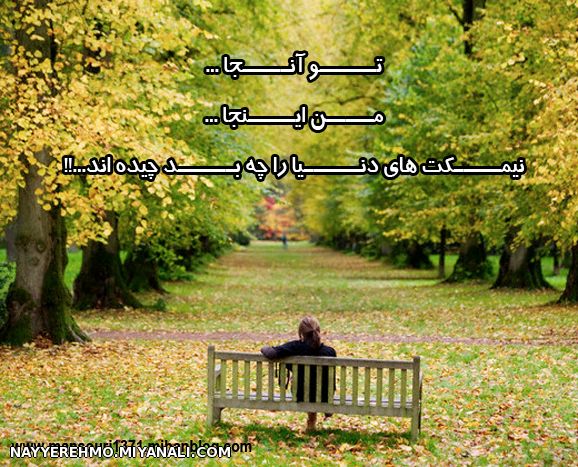 نیمکت های دنیا را چه بد چیده اند...