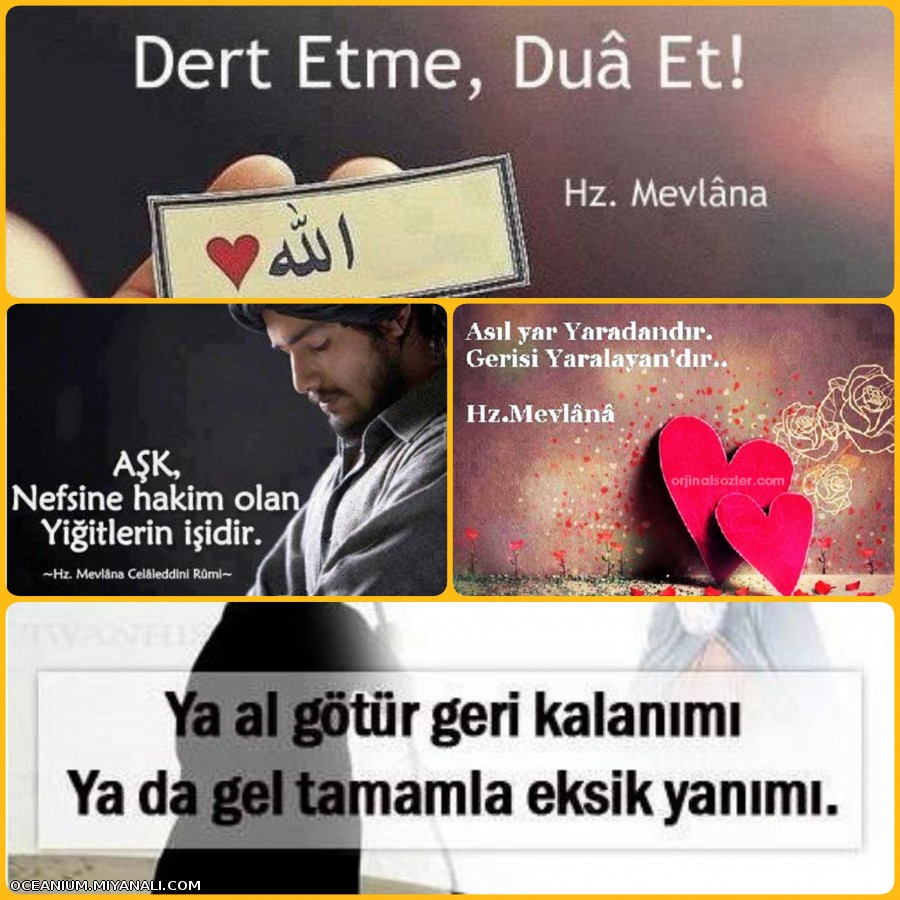 Hz.Mevlana