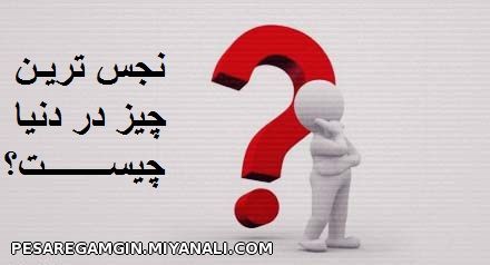 نجس ترین چیز در دنیا