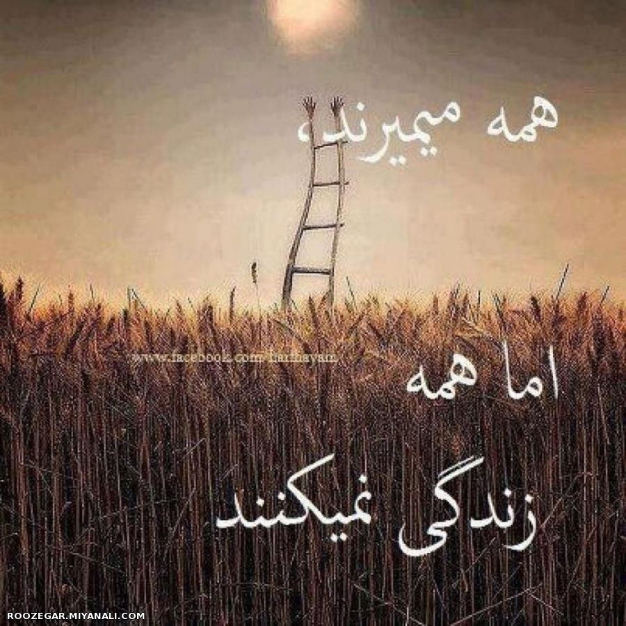 همه میمیرند