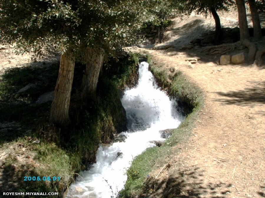 تقدیم به همه دوستان 