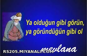 Mevlana1