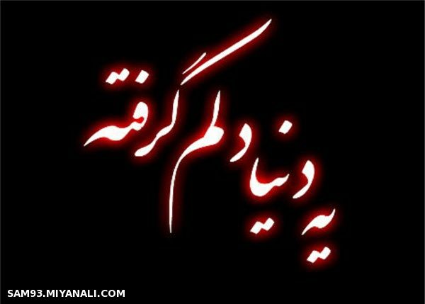 دلم میخواهد   چند وقــتی کرکره دلمو بکشم پاییـــن   یه پارچـــه سیـاه بزنم درش و بنـویسم:  کسی نمـــ