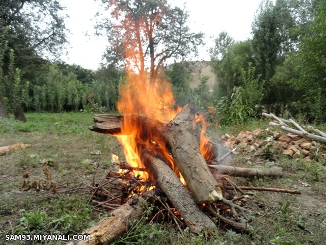 دوستان لحضات خوبی داشته باشید 